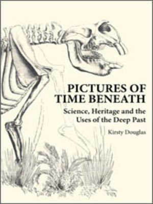 cover image of Pictures of Time Beneath